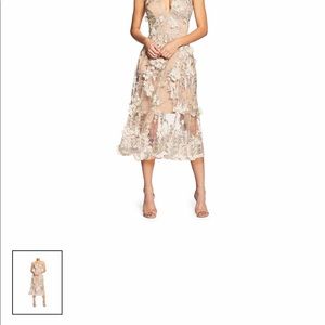 Dress The Population Audrey Lace MIDI A-Line Dress